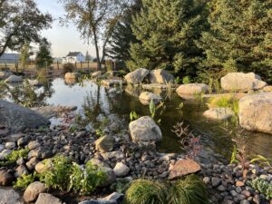 image 300x225